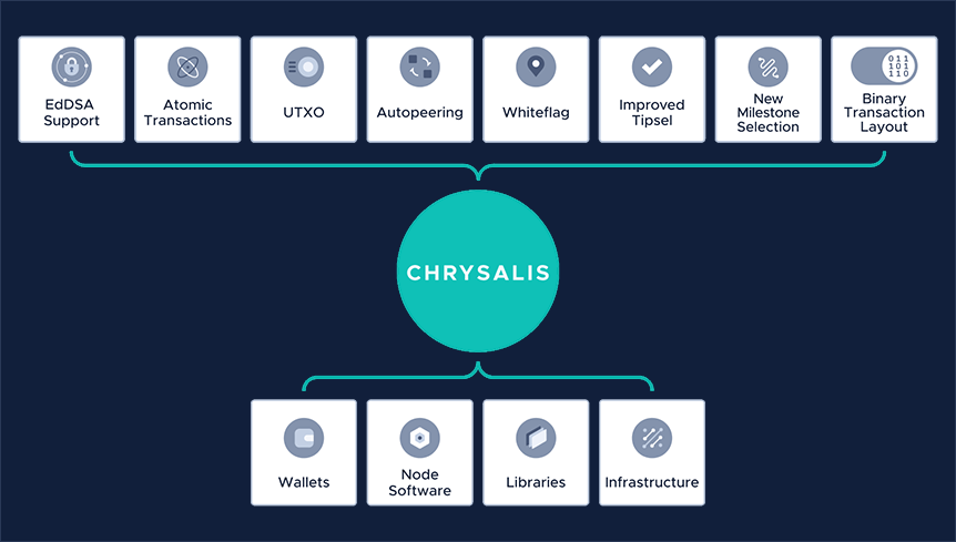 The stages to Chrysalis